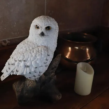 Le Grand Du Sorcier ! Magique Apartment